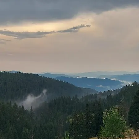 Bogi * Pamporovo