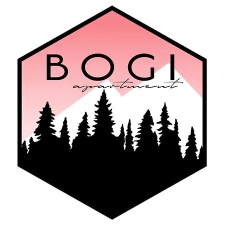 Bogi *