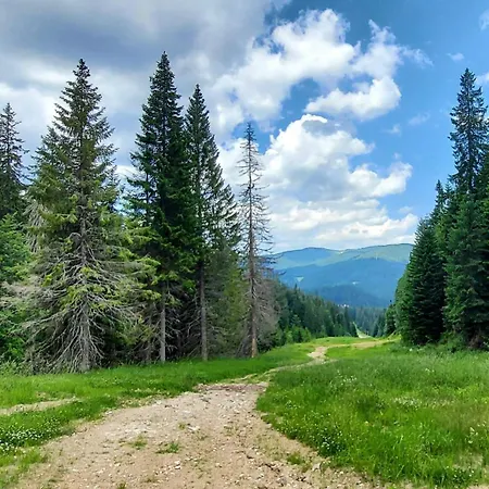 Bogi Appartamento Pamporovo